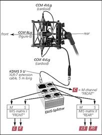 double-ms-e.gif