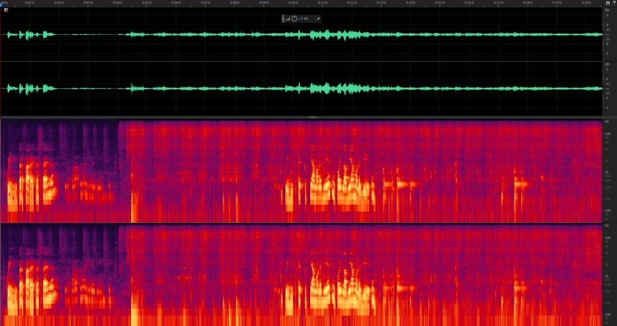 Waveform and spectrum of the same sound